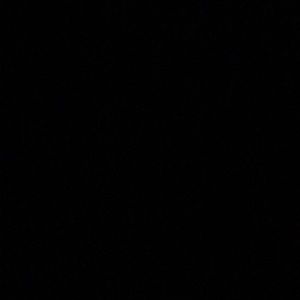 Meet your Posher, Ricky